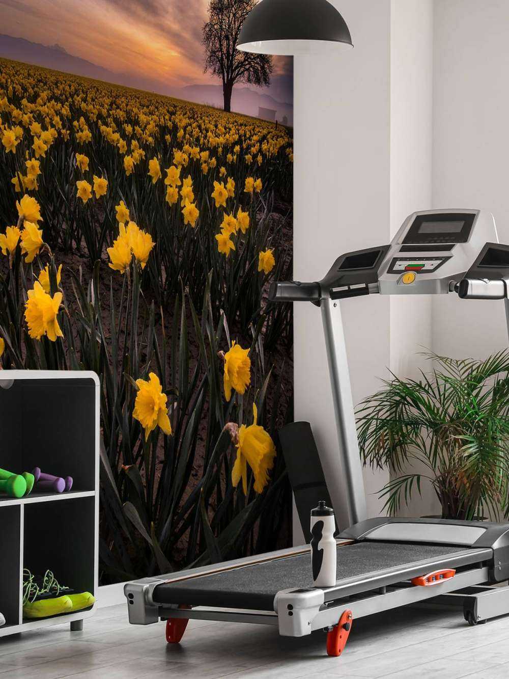 Mark med påskeliljer