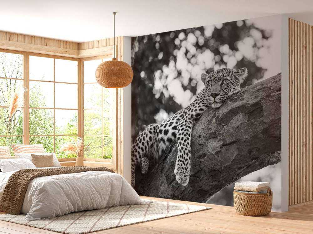 Leopard i hvile