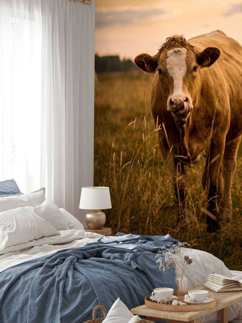 Ko med tungen i næsen