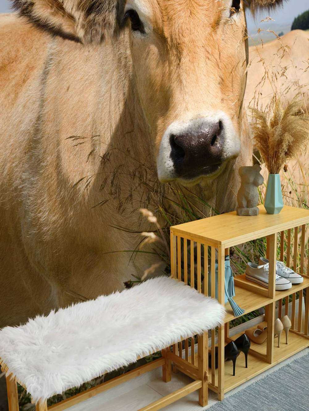 Ko med horn