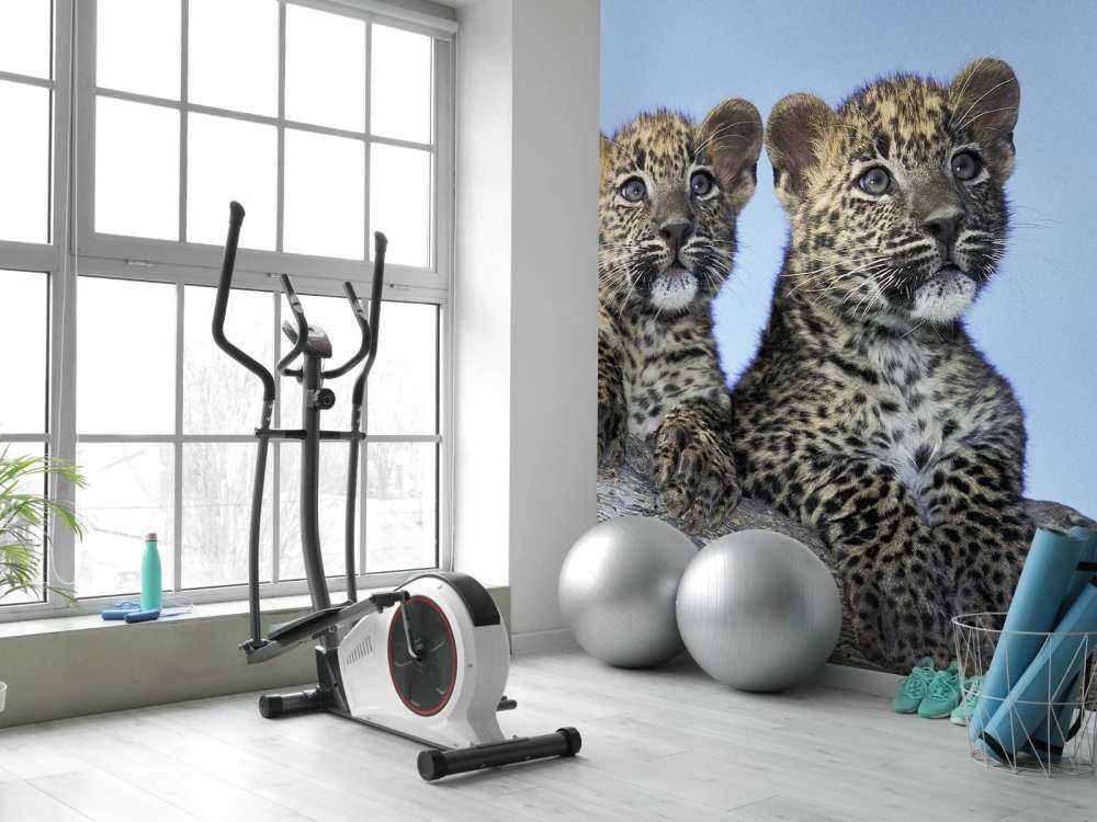 Små leoparder