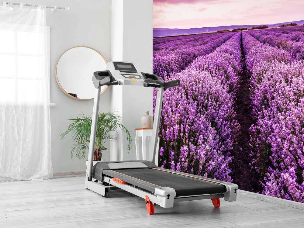 Lavendel buske