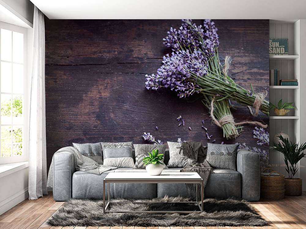 Buske af lavendel