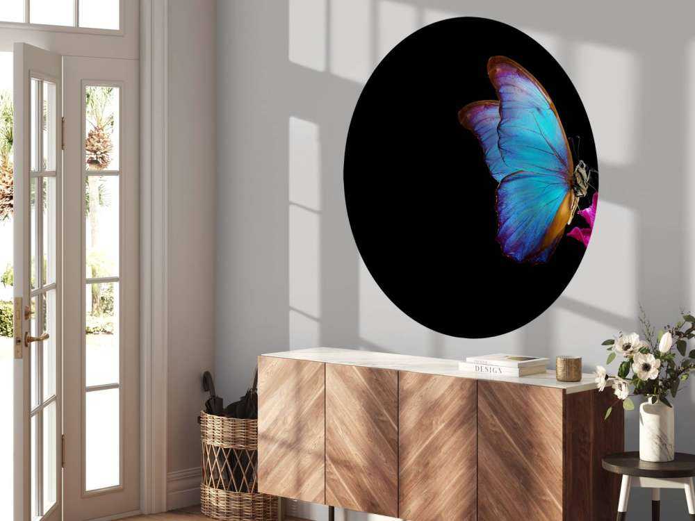 Sommerfugl på tulipan