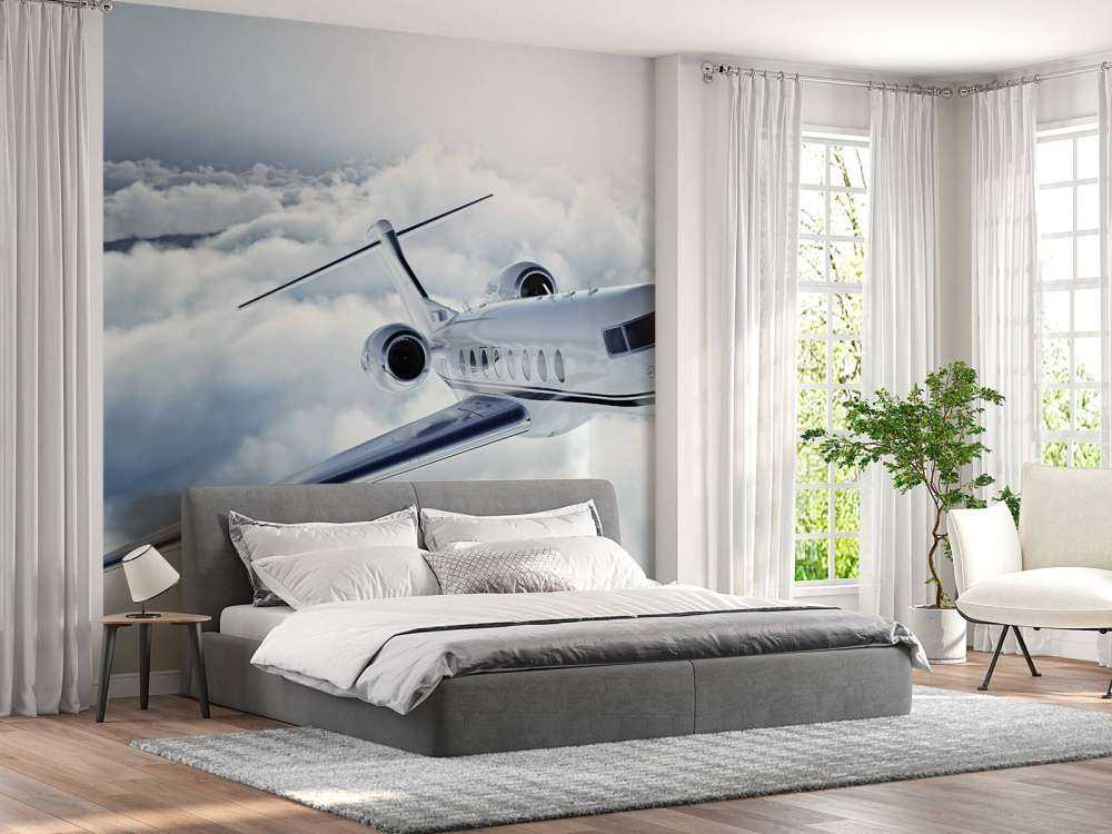 Privat fly i luften