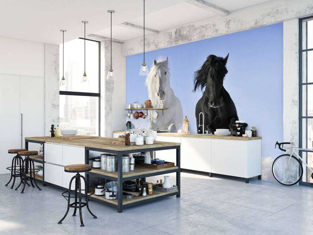 Hvit og en svart hest