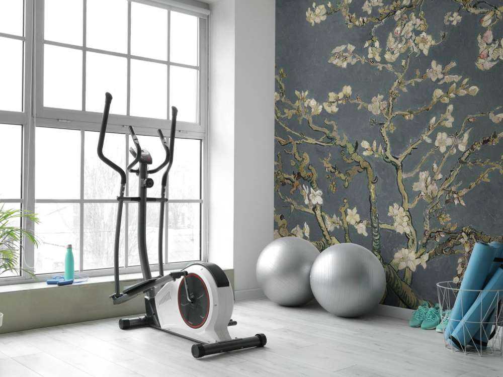 Mandelblomst i blomst