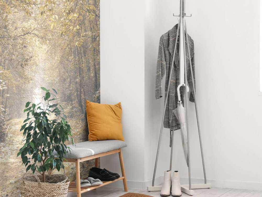 Sti gjennom en forlatt skog