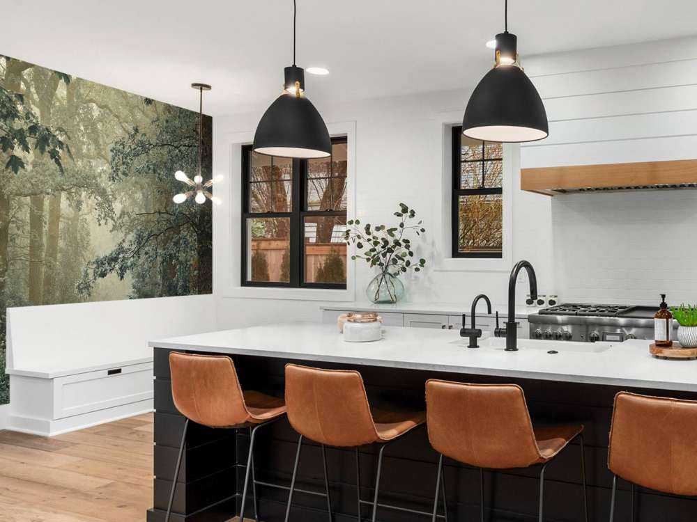 gjennom skog med tåke