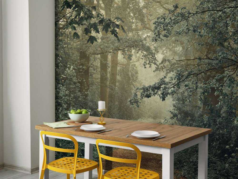 gjennom skog med tåke