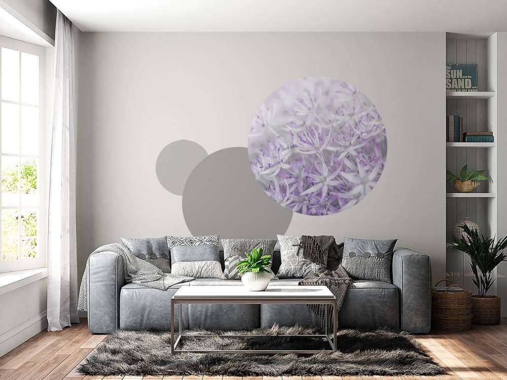 Allium blomster nærbilde