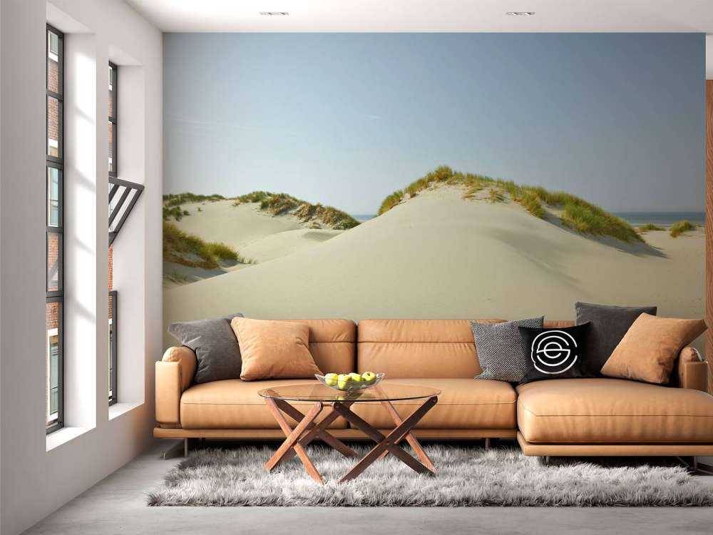 Sanddyrner på stranden