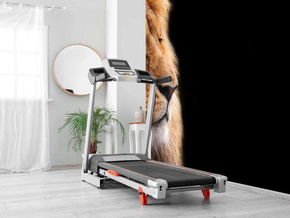 løve på nært hgammel