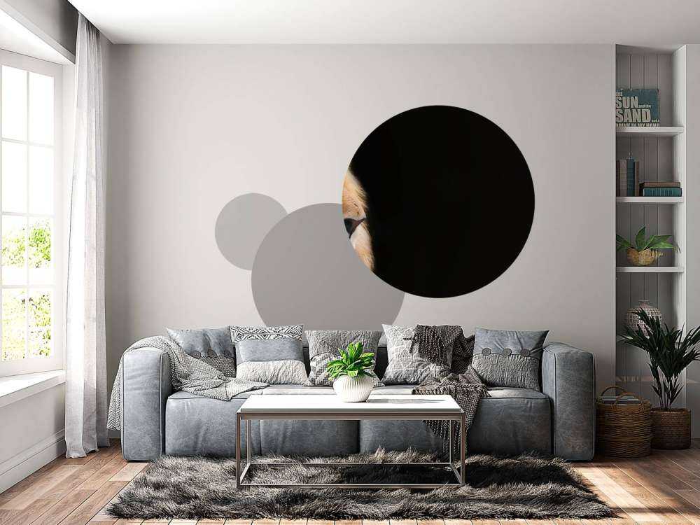 løve på nært hgammel