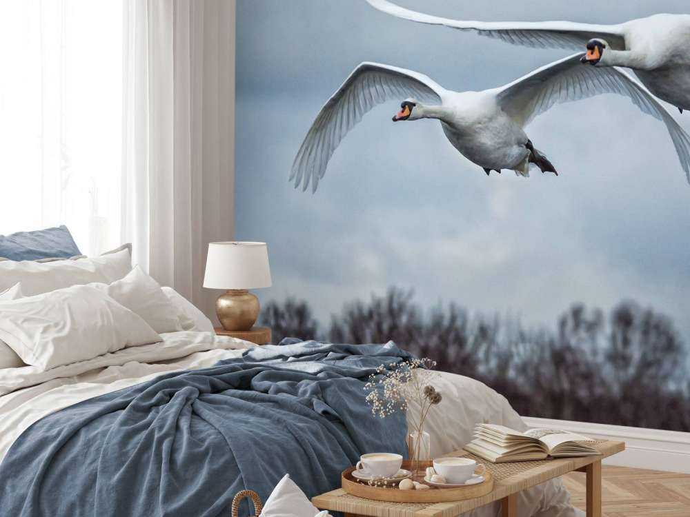 Flygende svaner
