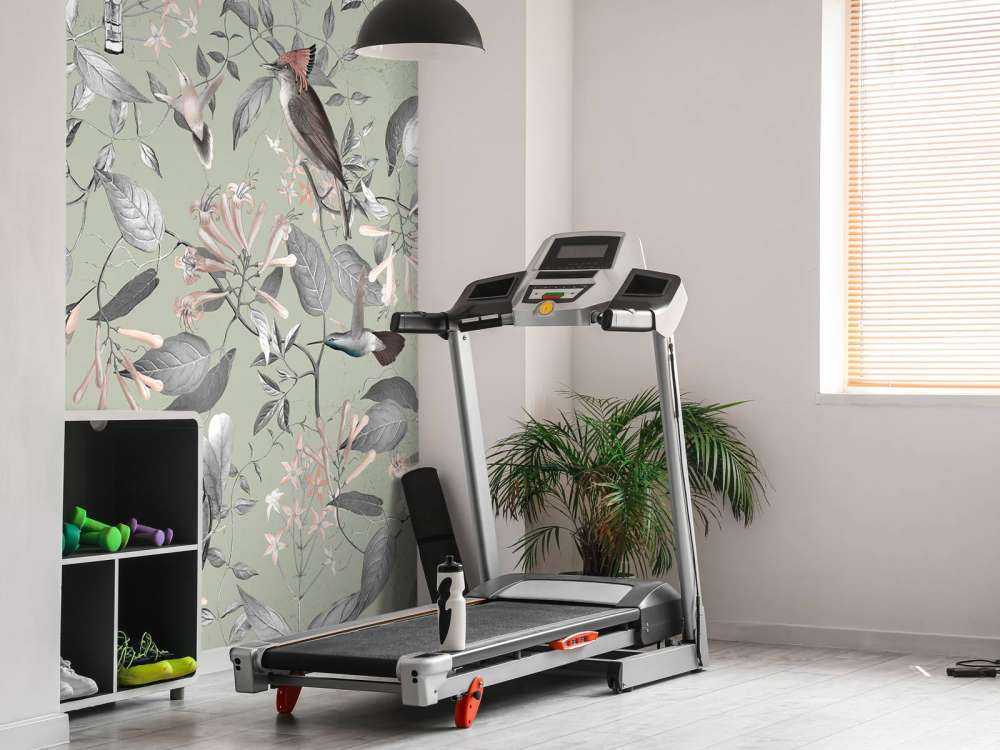 Tescoma Bird Paradise - Askegrå