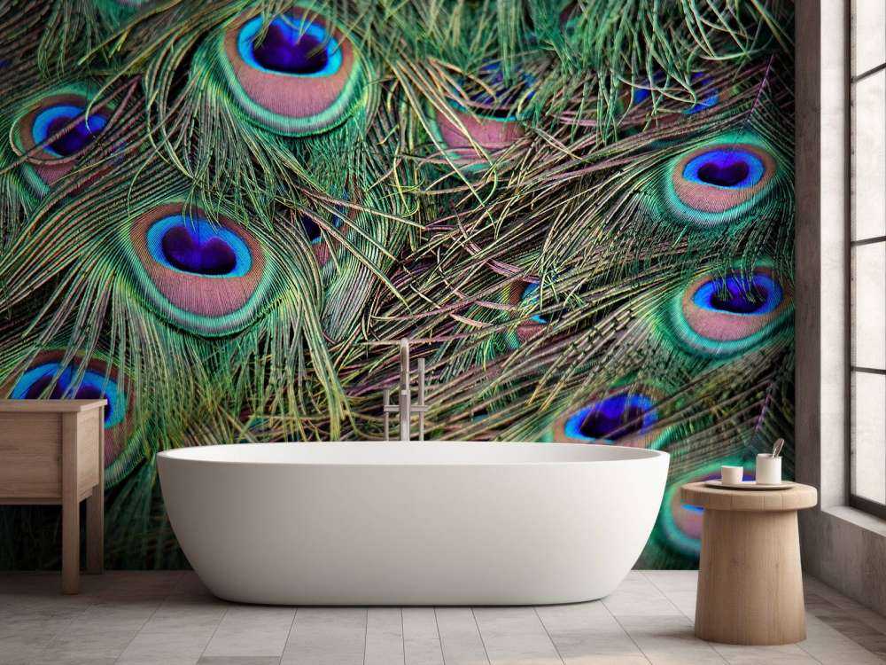 Nærbilde påfuglfjær