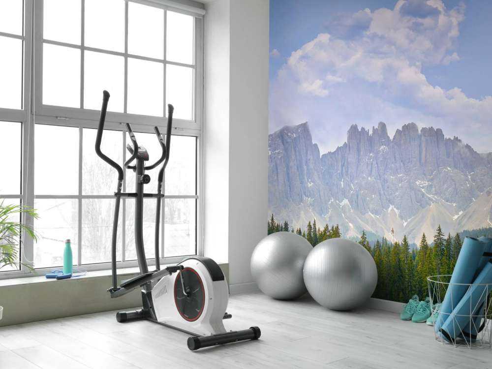 Fjell med trær og skyer