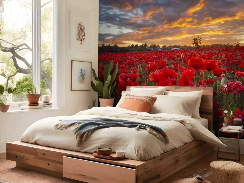 Valmuefelt med vakker himmel