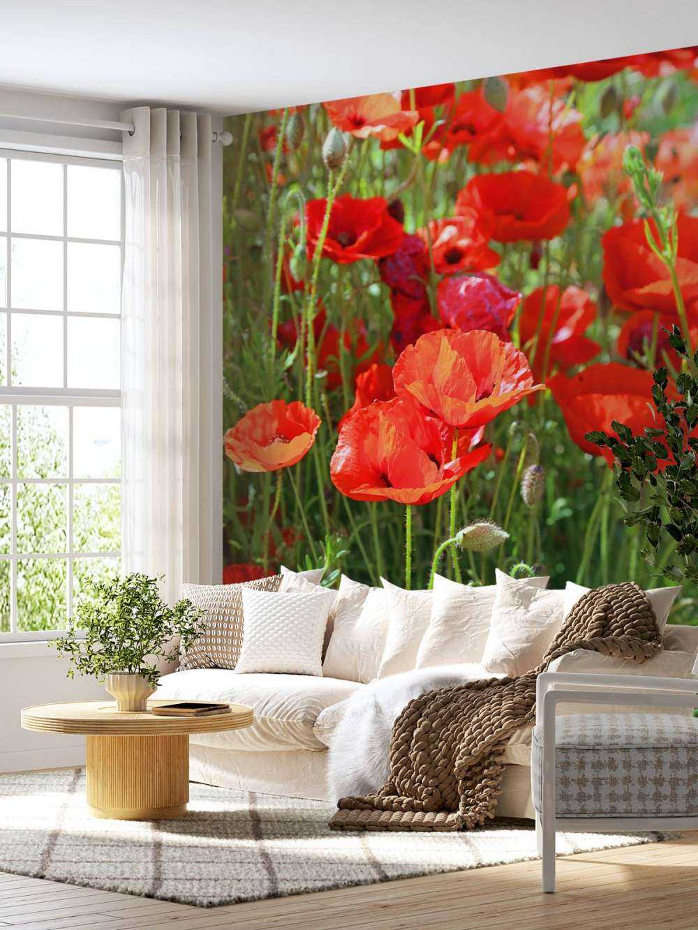 Nærbilde av valmuer