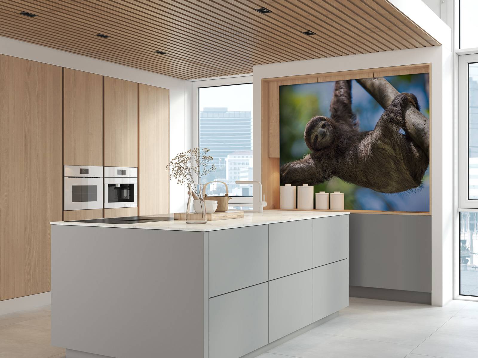 lykkelig dovendyr - Tapet.com, image size:1600x1200