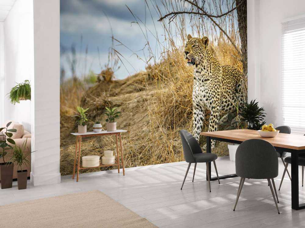 Leopard på utkikk