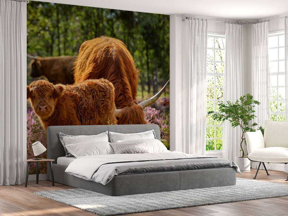 Familie skotske høylandet