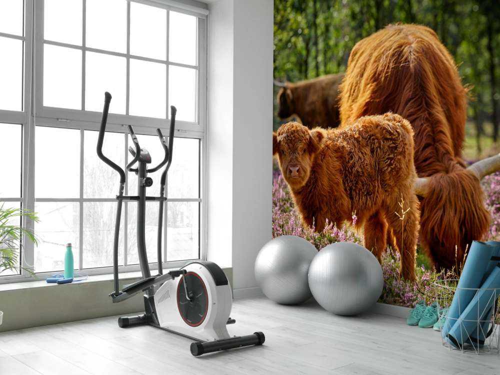 Familie skotske høylandet