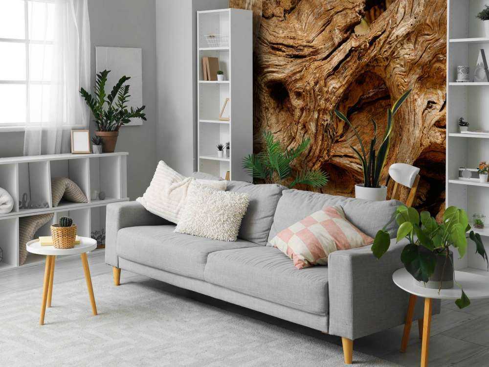 Lukk opp gammelt treverk