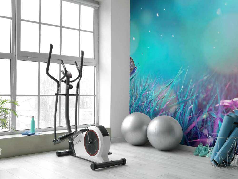 Sommerfugl om morgenen dugg