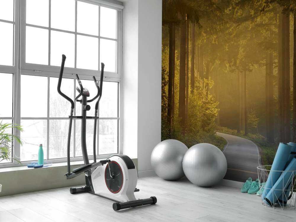 Soloppgang på vei gjennom skogen