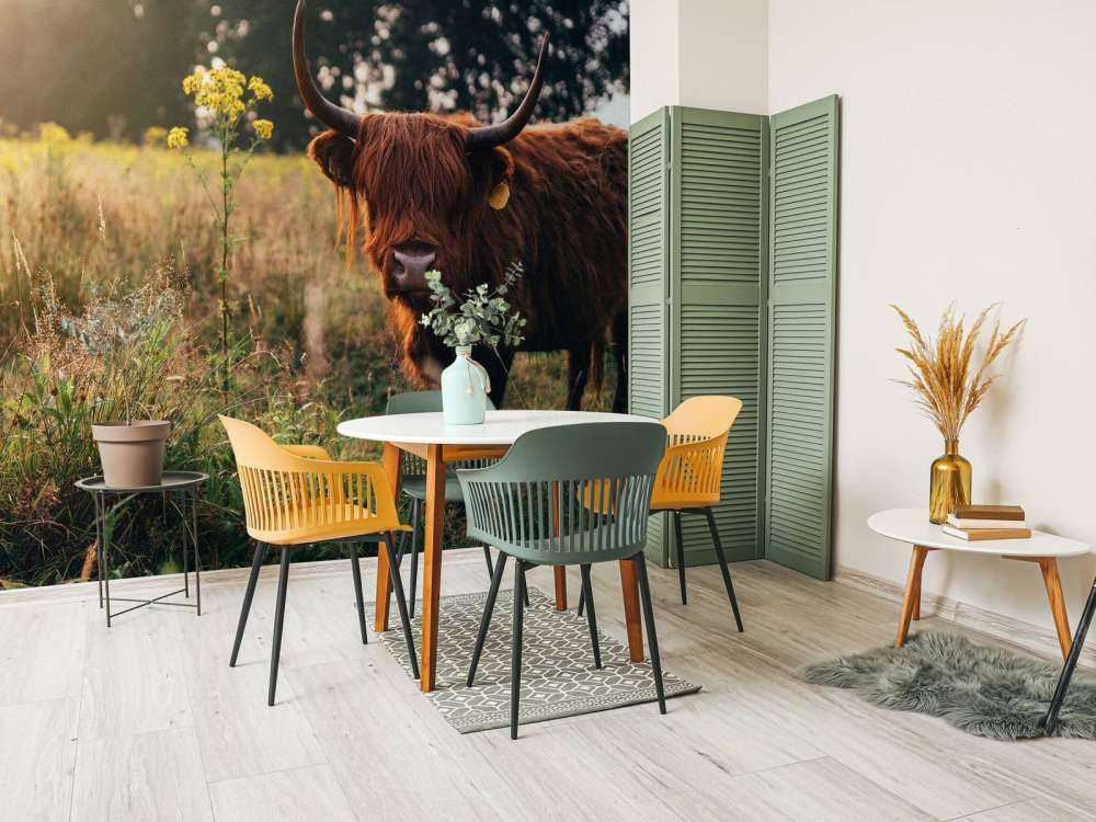 Det skotske høylandet i det høye gresset