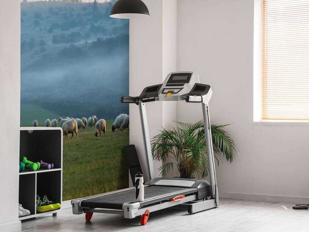 Fårflock i dimmigt landskap