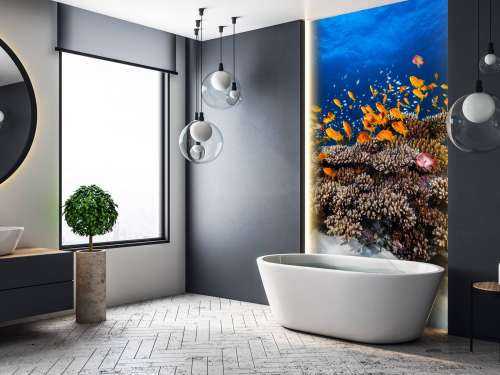 Marine Life