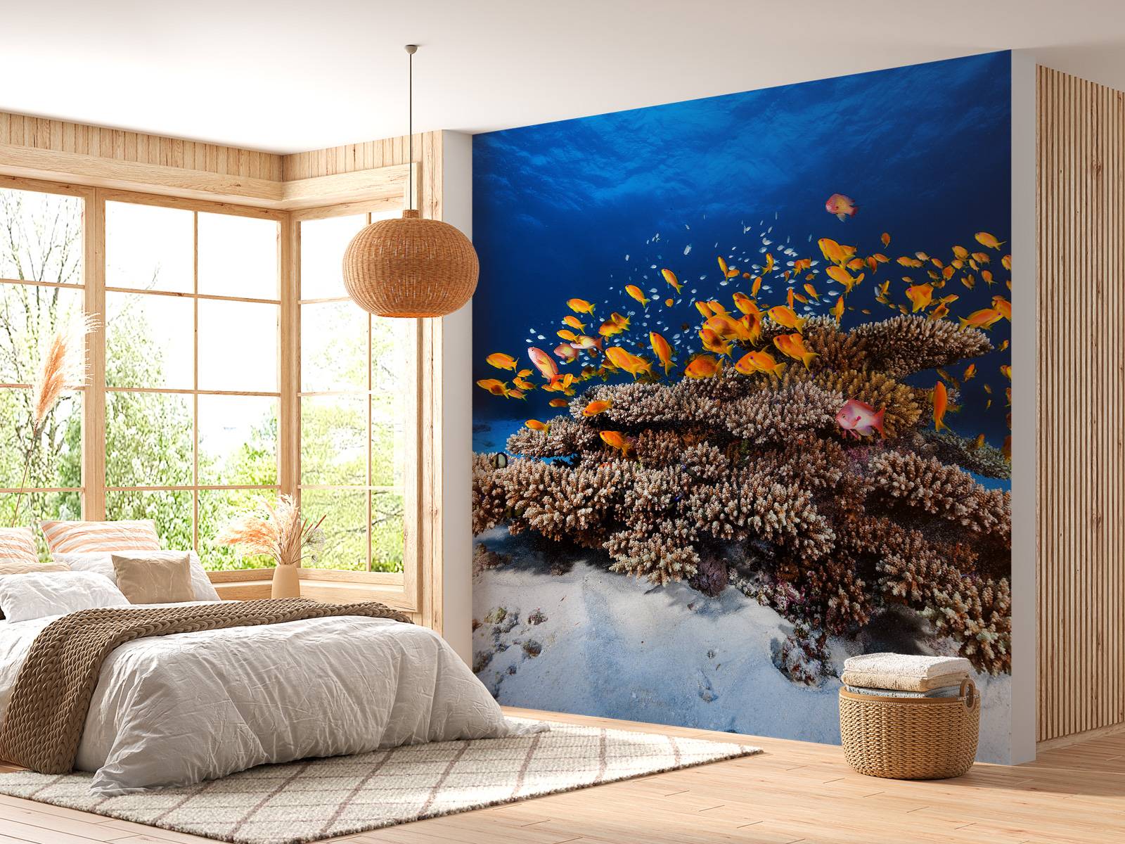 Marine Life