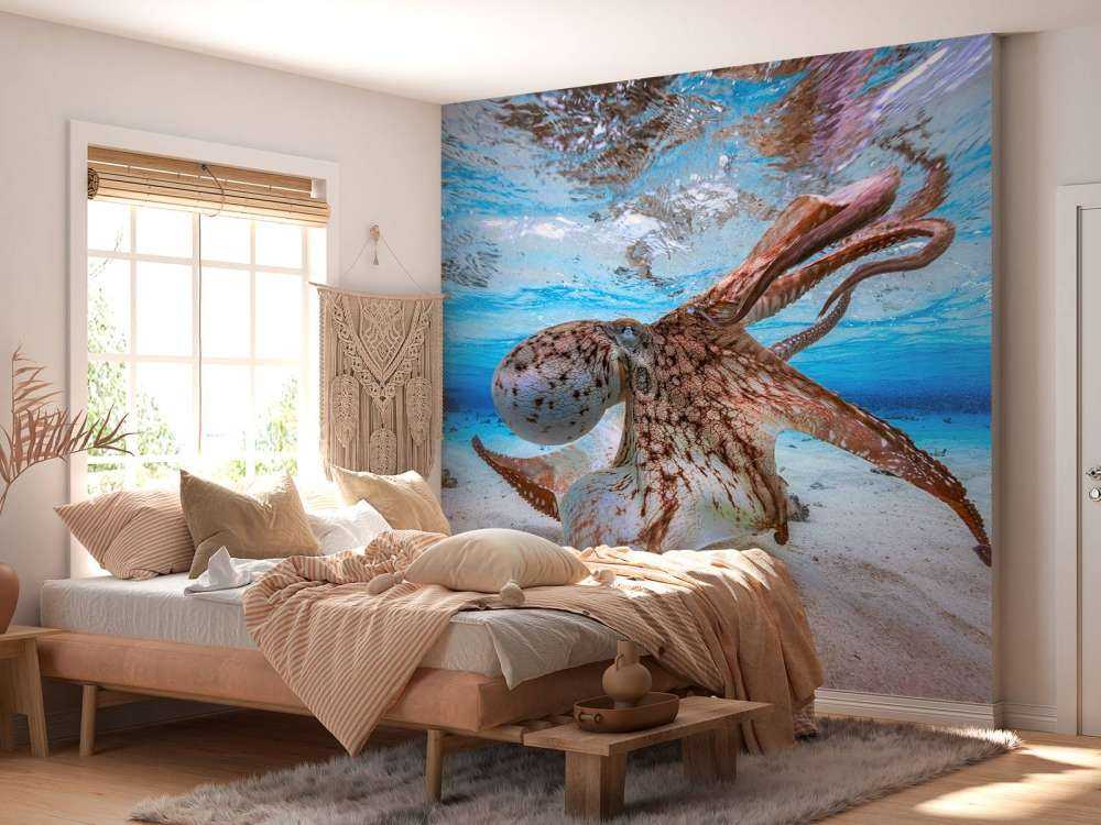 Dancing Octopus