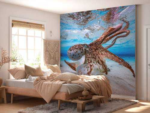 Dancing Octopus