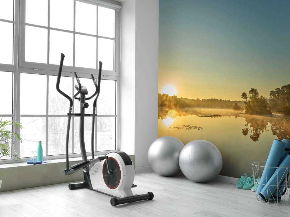 Soluppgång på skogsjön