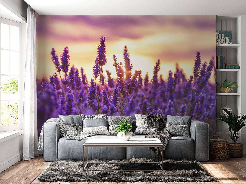 Lavendelblommor
