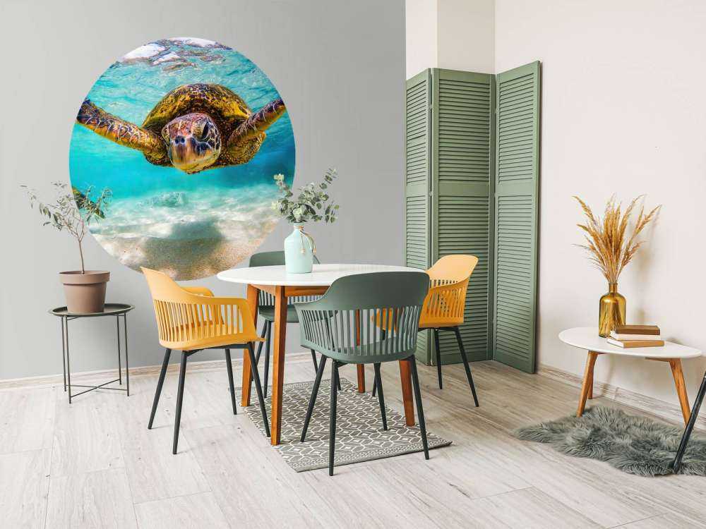 Havssköldpadda i havet