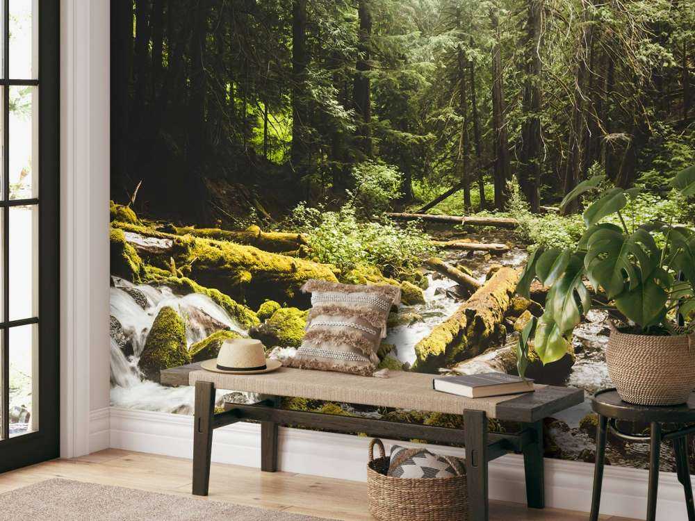 Vattenfall i en skog