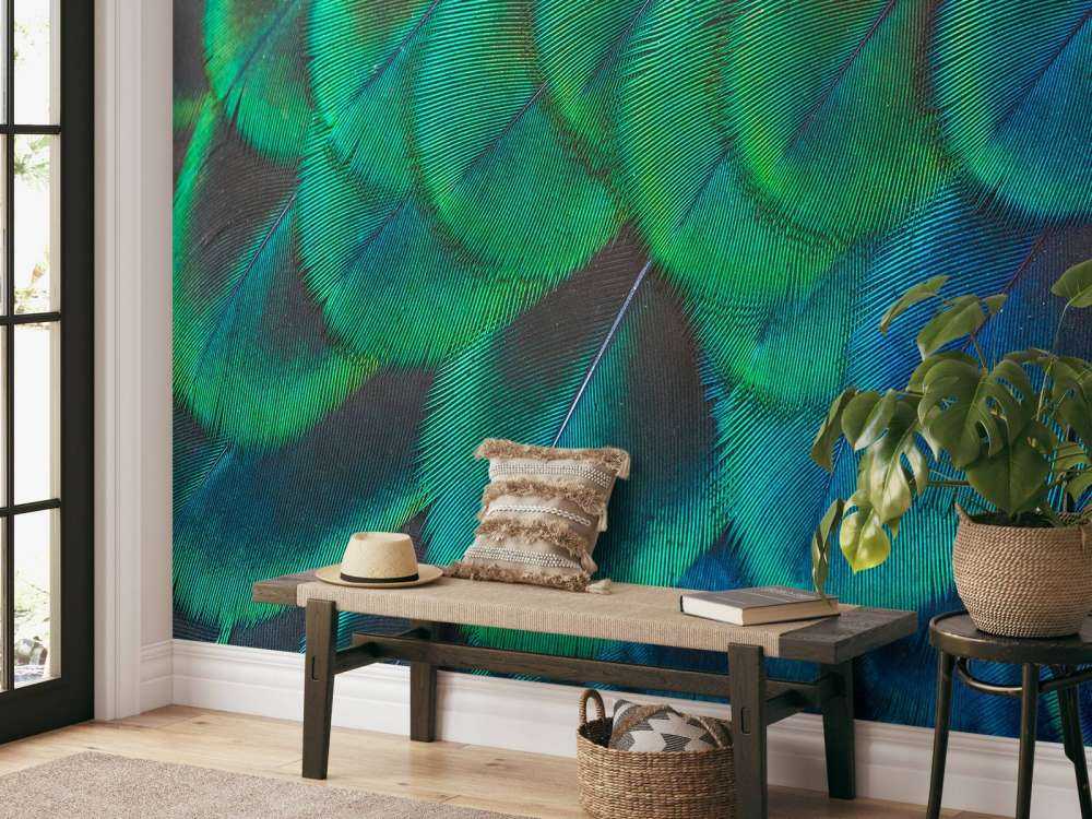 Närbild av påfågelfjädrar