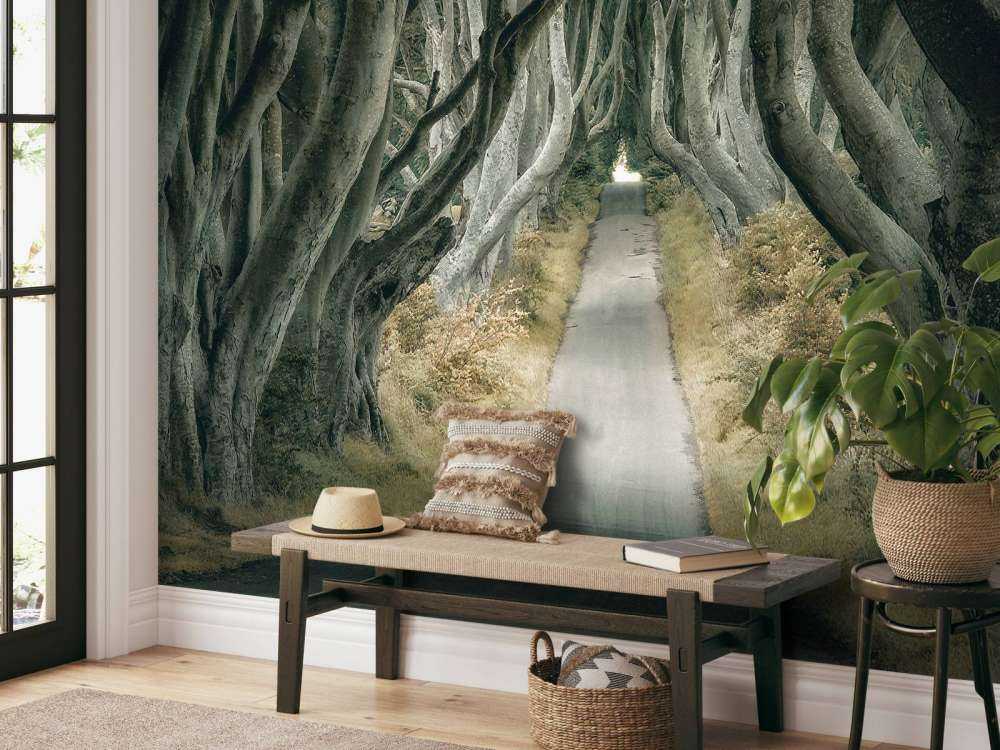 Irish Hedges