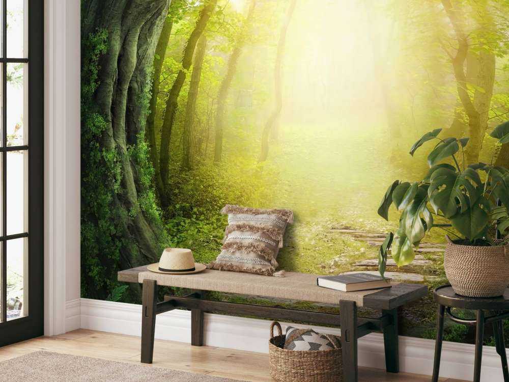 Stenväg genom skogen