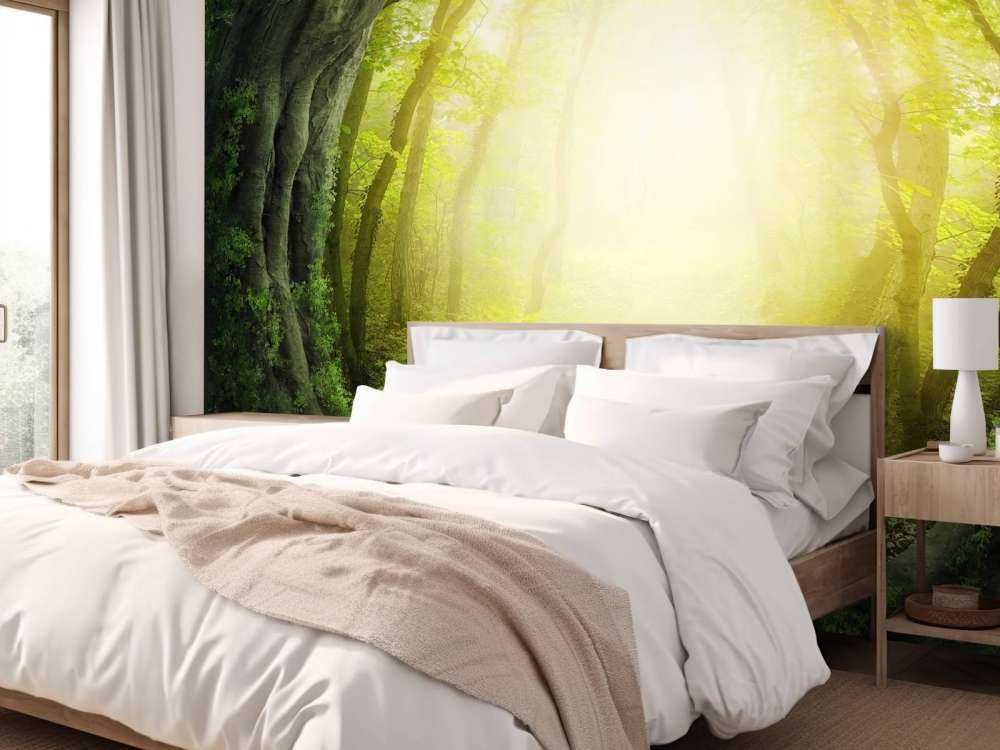 Stenväg genom skogen