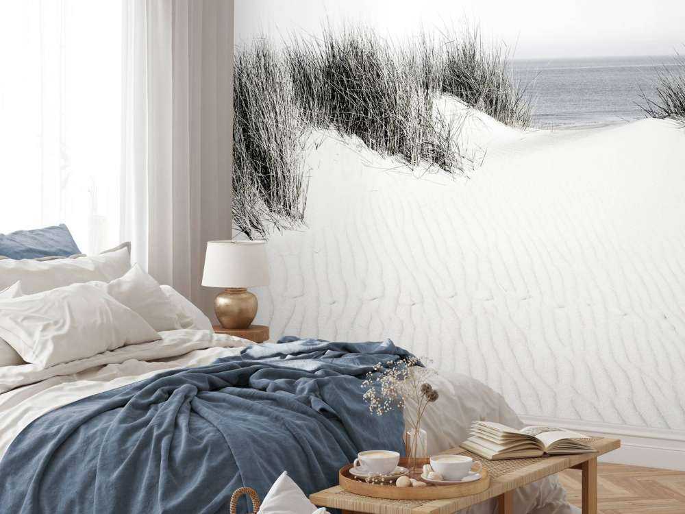 Dynpassage till stranden svart och vit