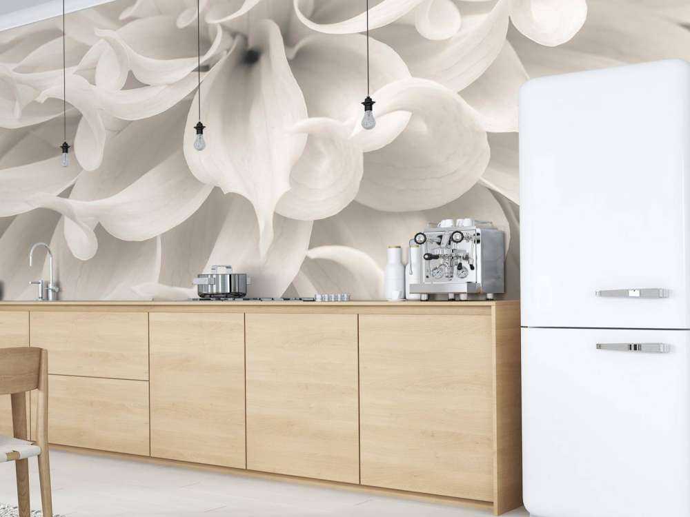 Närbild av dahliablomma