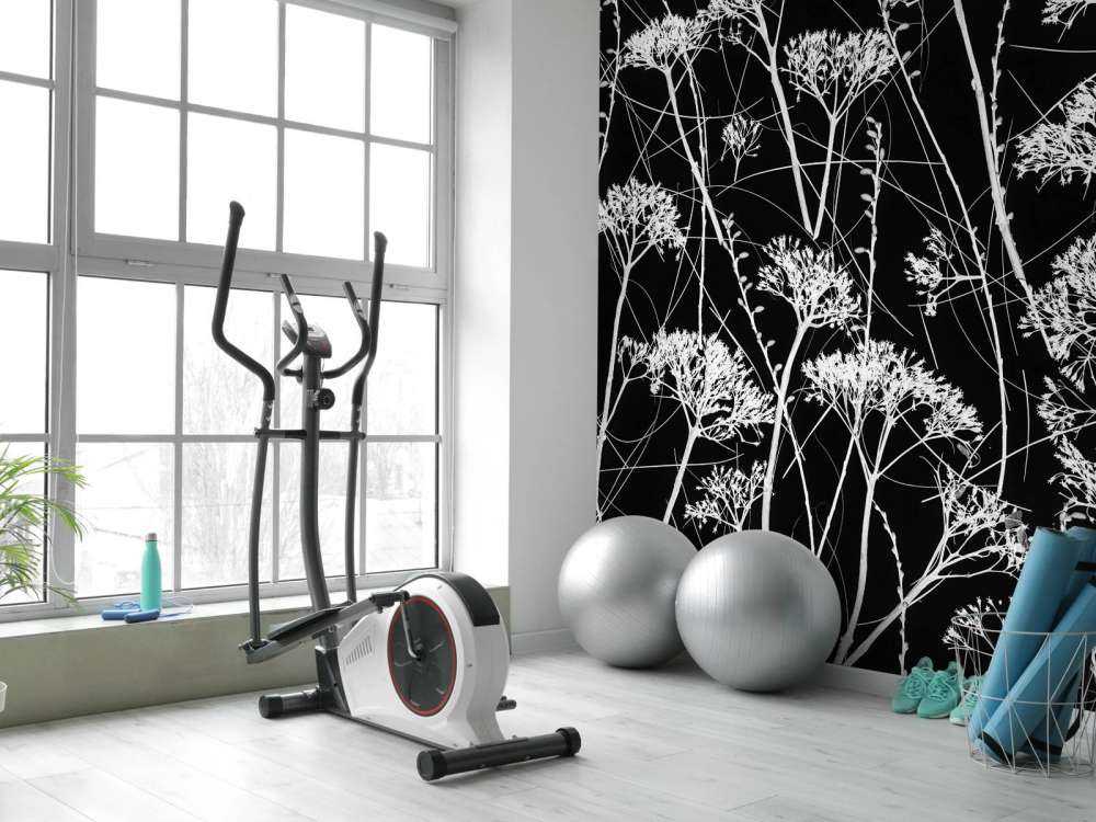 Siluett av torkade växter