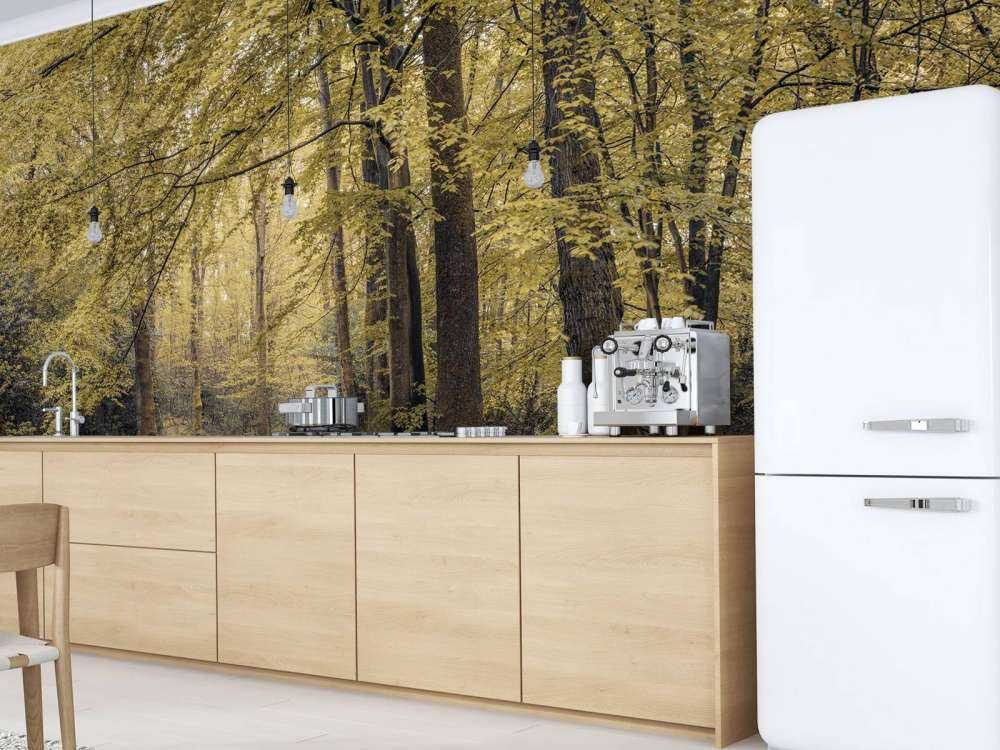 Väg genom den gröna skogen