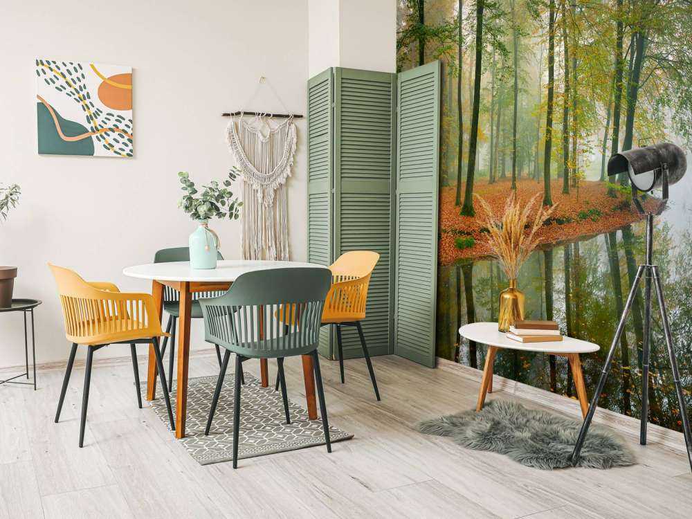 Trädens reflektion i en damm